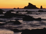 Seastacks From Rialto Beach, Olympic National Park, Washington