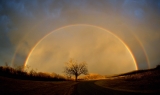 rainbow_elam_2