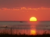 Golden Moment, Gulf of Mexico, Florida