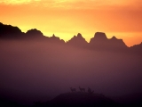 Mule Deer at Sunrise, Badlands, South Dakota