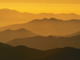 Clingmans Dome, Smoky Mountains, North Carolina