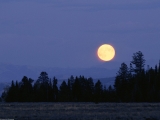 Harvest Moon, Wyoming