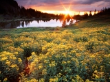 Gold King Basin, San Juan, Colorado