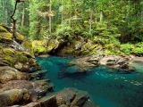 Ohanapecosh River, Mt. Rainier National Park, Washington