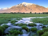 Mount Tom, Owens  Valley, Eastern Sierra, California