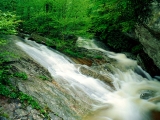 Wilson Creek, Pisgah National Forest, North Carolina