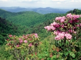 Blue Ridge Parkway, North Carolina