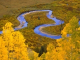 Winding Creek, Gunnison National Forest, Colorado