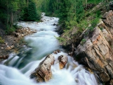 Crystal River, Gunnison National Forest, Colorado