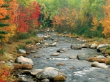 Autumn Colors, White Mountains, New Hampshire