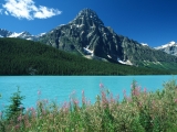 Mount Chephren, Waterfowl Lakes, Canadian Rockies, Alberta