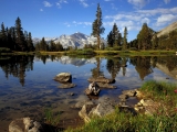 High Country Near Tioga Pass, Yosemite National Park, California