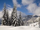 Fresh Snow Over Denny Mountain, Mount Baker-Snoqualmie National Forest, Washington