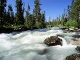 Redfish Creek, Idaho