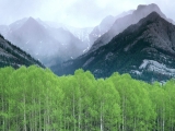 Mountain Mist, Alberta, Canada