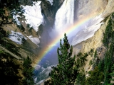 Lower Falls, Yellowstone National Park