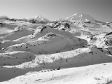 Sled Dog Team, Denali National Park, Alaska