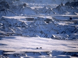 Distant Bison, Badlands, South Dakota