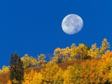 Moon Setting at First Light, Crested Butte, Colorado