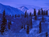 Snow-Covered Alaskan Range