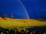 Tasmanian Rainbow, Australia