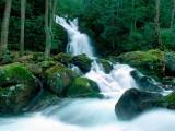 Mouse Creek Falls, Great Smoky Mountains, North Carolina
