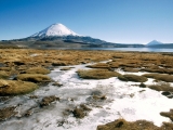 Parinacota Volcano, Lauca National Park, Chile