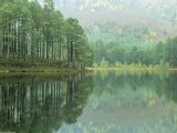 Loch An Eilein, Scotland