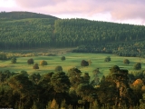 Valley Vista, Scotland