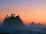 Point of the Arches, Sea Stacks, Olympic National Park, Washington