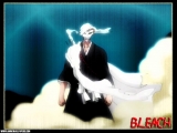 Bleach