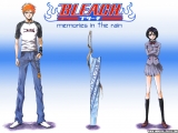 Bleach