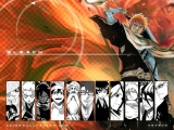 Bleach