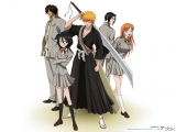 Bleach