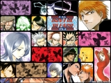 Bleach