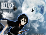 Bleach