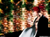 Bleach