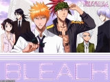 Bleach