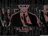 Bleach