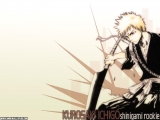 Bleach