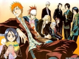 Bleach