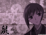 Fruits Basket