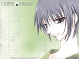 Fruits Basket