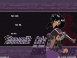 Gunsmith Cats