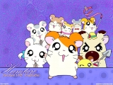 Hamtaro