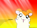 Hamtaro