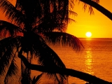 Polynesian Sunset