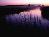 Sunset at Loxahatchee National Wildlife Refuge, Florida